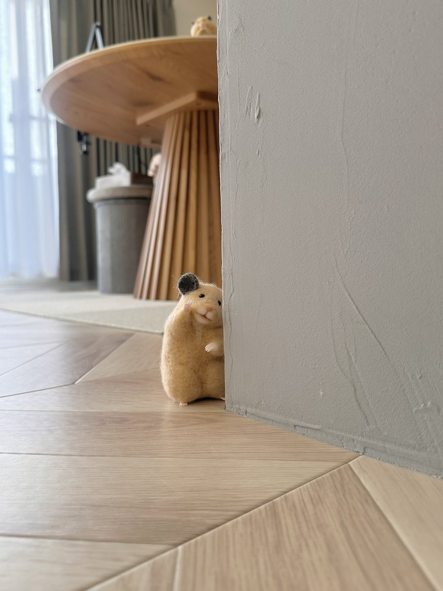 hemhemjp tweet media