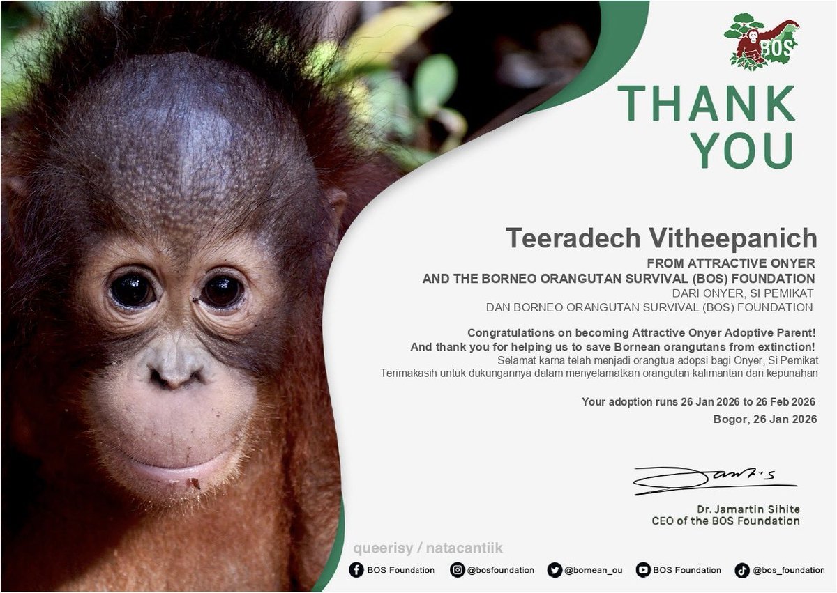 i also adopted an orangutan (ONYER) to celebrate <a href="/vitheepanich/">tee_vtp</a> birthday through <a href="/bornean_OU/">BOS Foundation</a> !! 🦧 

kalau mau adopsi juga bisa cek website mereka &amp; kalau maunya dapet sekaligus liptint bisa ikutan di sini: s.shopee.co.id/2B9Pp6RTuP