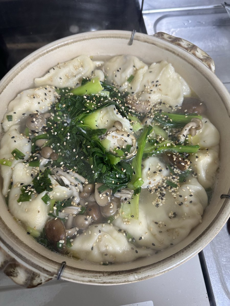 Nacisess's tweet photo. 久しぶり水餃子を作った(•ㅂ•)و https://t.co/kyCzl504fR