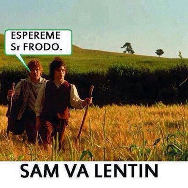 Buho ingenioso :3 tweet media