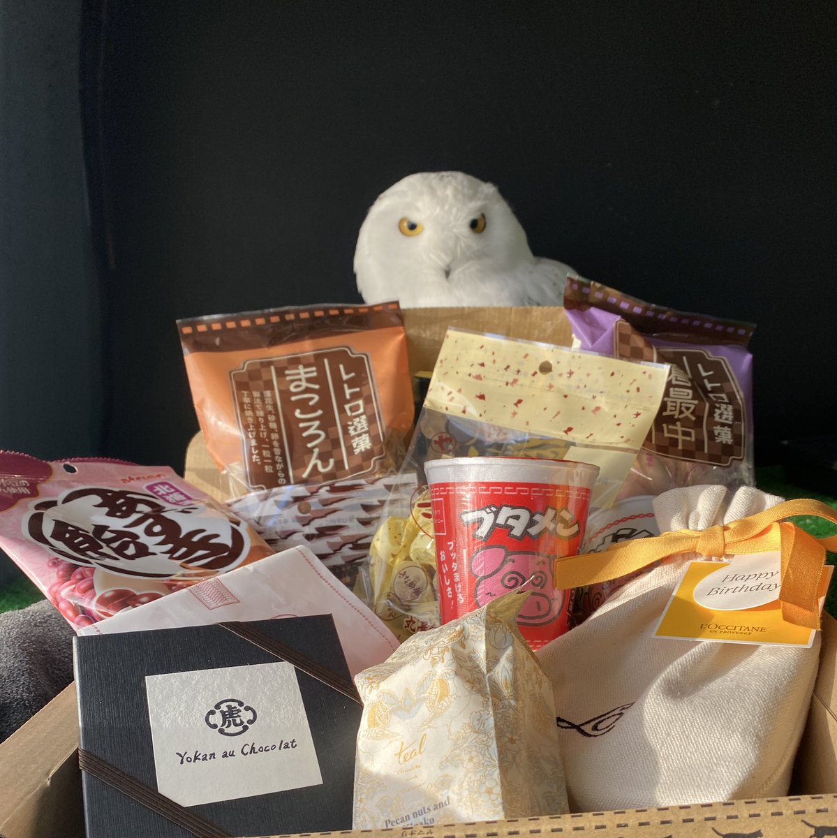 今日は誕生日でした。
あたたかい贈り物をたくさんいただき、静かに幸せを感じています。
本当にありがとうございます🕊️