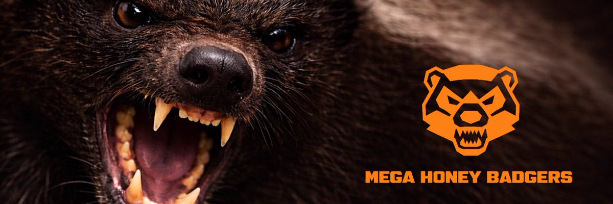 The Deep State tweet media