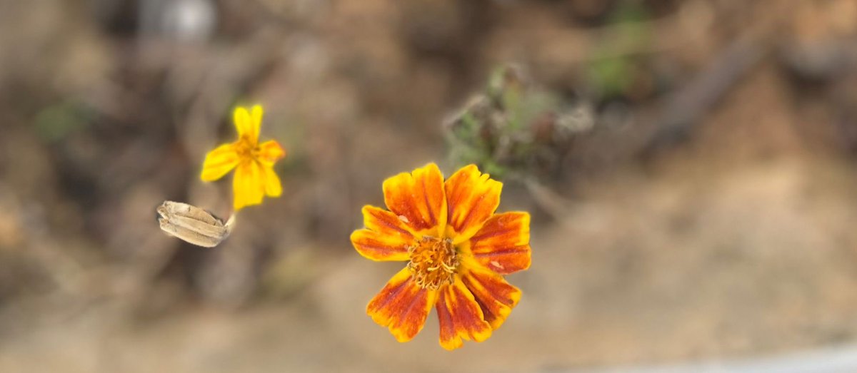 Bizde sevgilimize gidip gününü kutladık #sevgililergünü