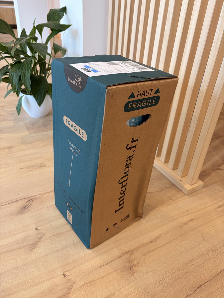Lisa_plum_'s tweet photo. @Interflora mais vous n’avez pas HONTE ??? SMS reçu la veille de la part de Chronopost déjà pas super de gâcher la surprise pour la saint Valentin, et la gueule de l’emballage mais c’est quoi ça ??? Les fleurs sont belles seul point positif mais sinon c’est catastrophique hein https://t.co/UrITTKvzJs