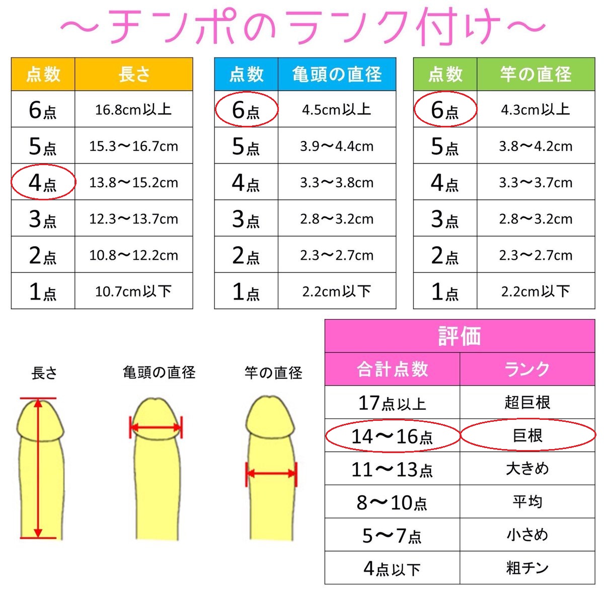 plus_alpha_XX's tweet photo. 自己紹介
170/60/24(02生まれ)

平常時╰U╯
長さ：7.0cm
太さ：2.9cm
カリ：3.3cm

勃起時╰U╯
長さ：14cm前後
太さ：4.6cm
カリ：5.0cm

よろしくお願いします！

#裏垢男子 #裏アカ男子
#おちんちん名刺 
#チンポのランク付け https://t.co/24o8ZImfNh