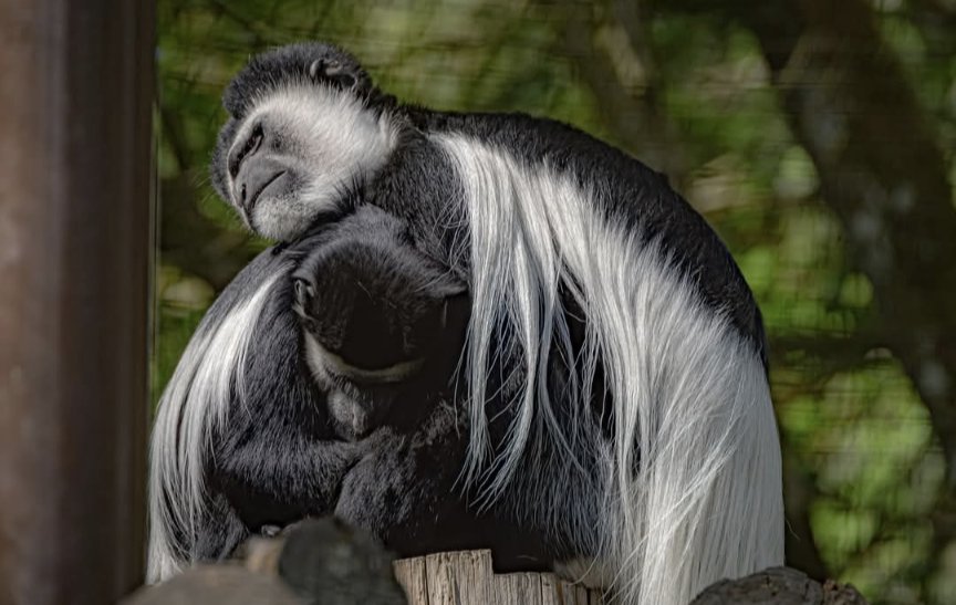 Jamie Ledwith tweet media