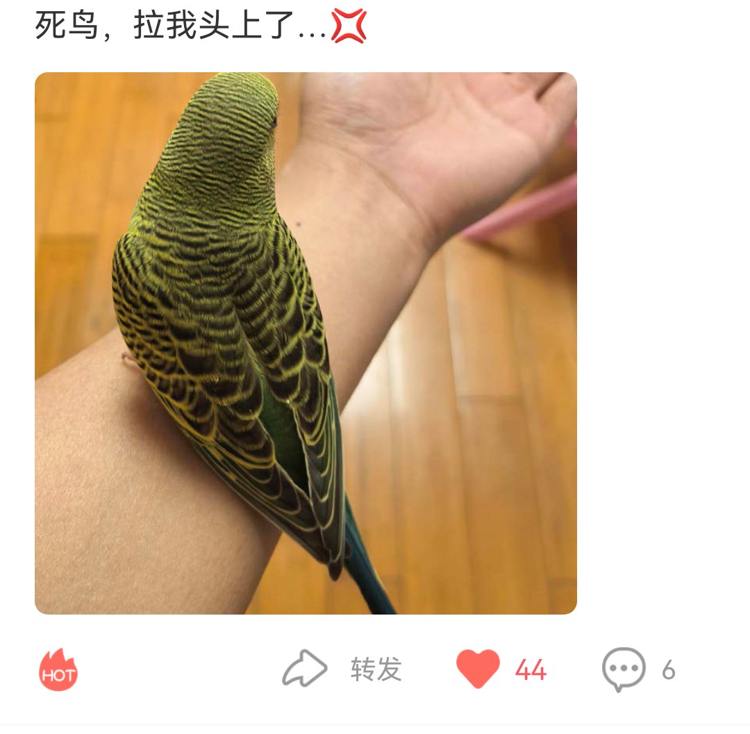 ergou10086's tweet photo. 搬运一下动态
小鸟还是很漂亮的 https://t.co/vZ9GmjAS4Y