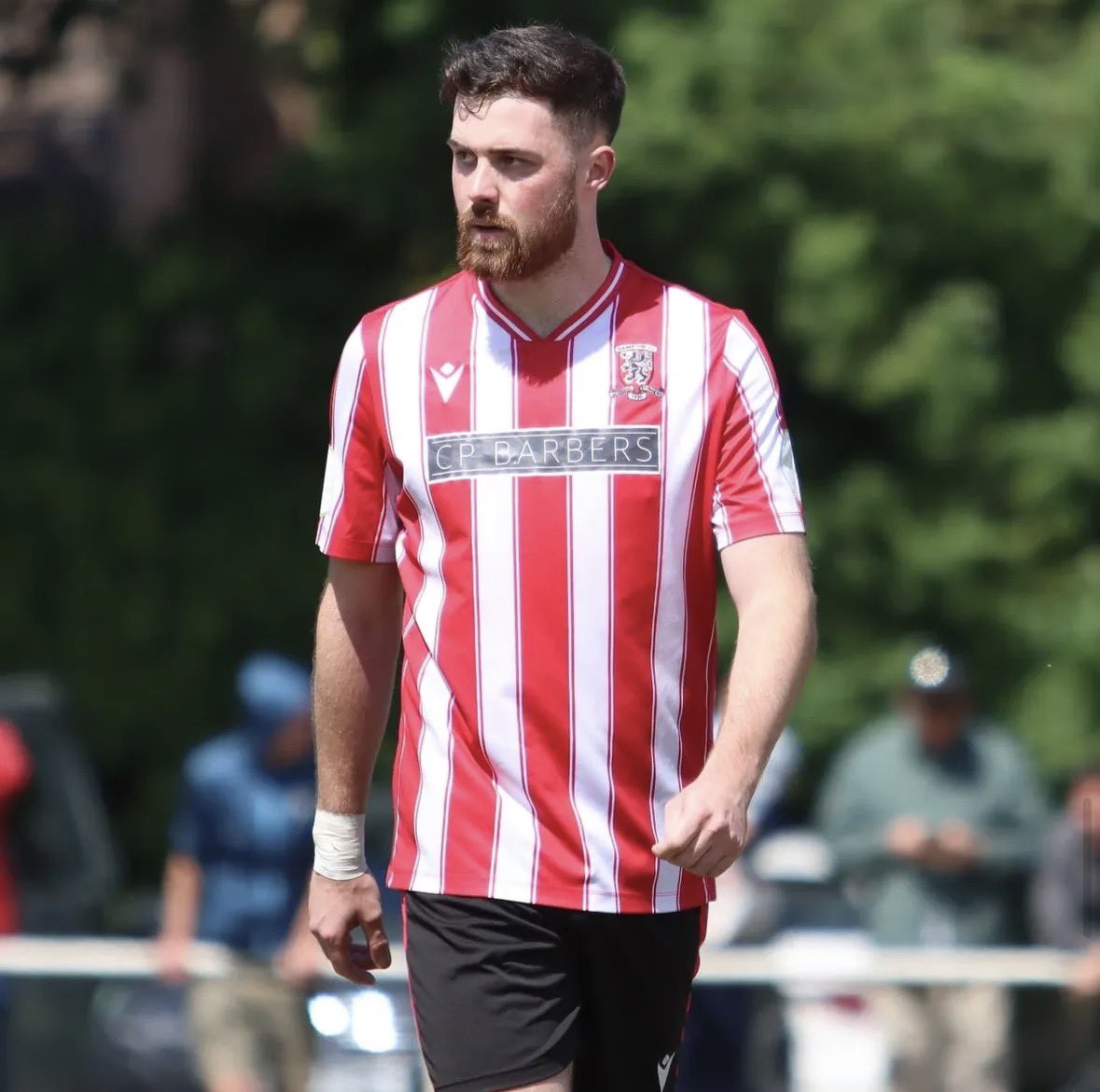 𝐊𝐧𝐨𝐰𝐥𝐞 𝐅(𝐂) tweet media