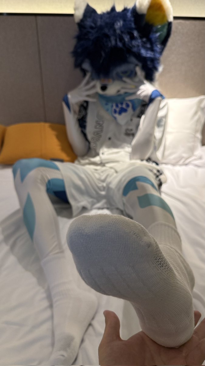 俺回来啦，王从天降Ծ ̮ Ծ #furry #zentai