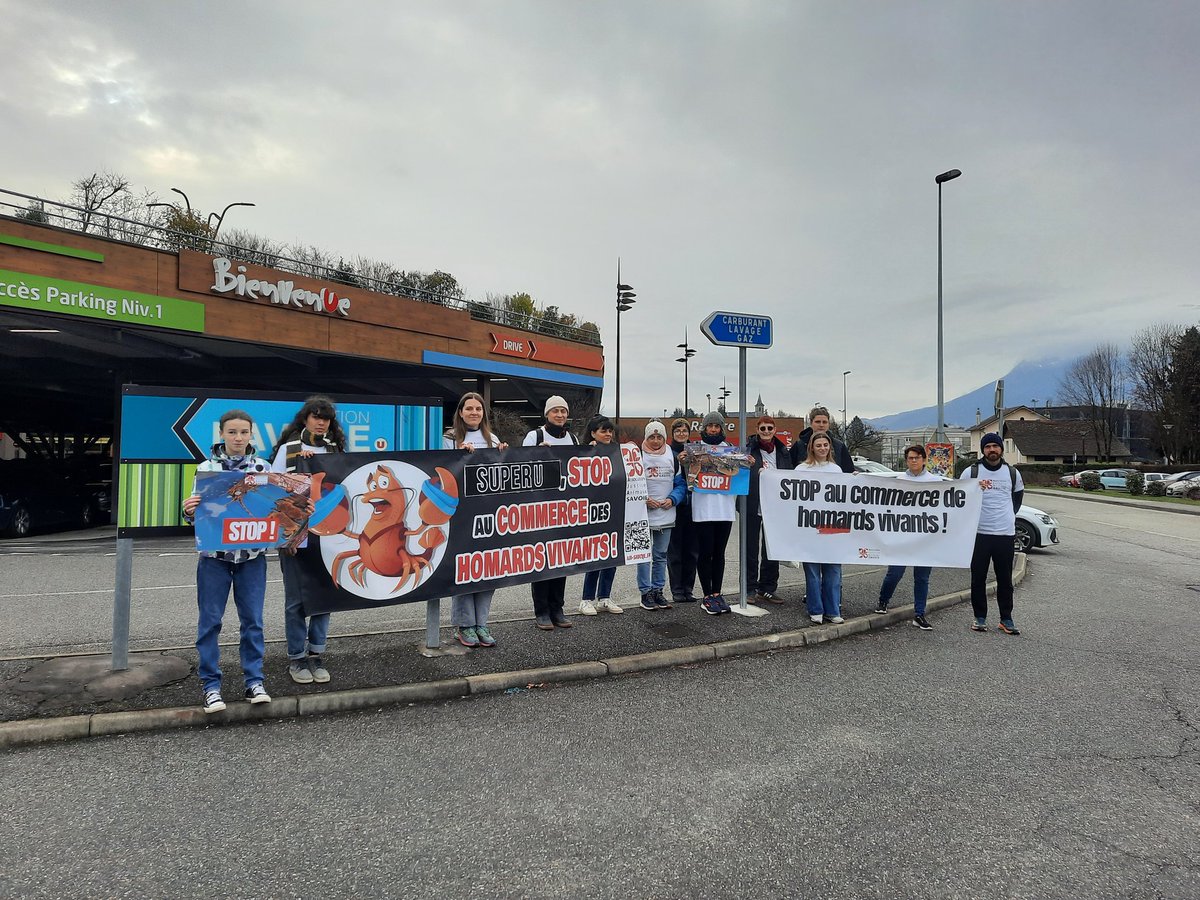 Nous sommes devant #SuperU de La Ravoire (Savoie), qui vend encore des homards et des crabes vivants 😡
Pour la #SaintValentin nous rappelons que ces animaux sont des êtres sentients et demandons au magasin de cesser de cautionner ce commerce cruel !
aja-savoie.fr/super-u-la-rav…