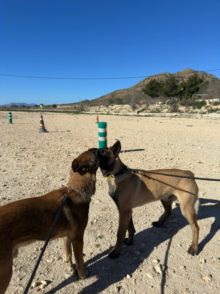 Joven inversor💰📈 tweet media