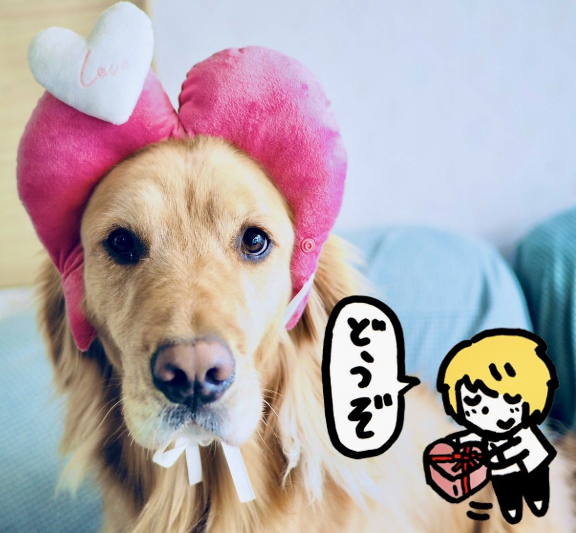 daisukeasakura's tweet photo. 𝙷𝙰𝙿𝙿𝚈 𝚅𝙰𝙻𝙴𝙽𝚃𝙸𝙽𝙴’𝚂 𝙳𝙰𝚈
▽❛。❛▽ノ🍫💕 https://t.co/vTZ8S4BC70