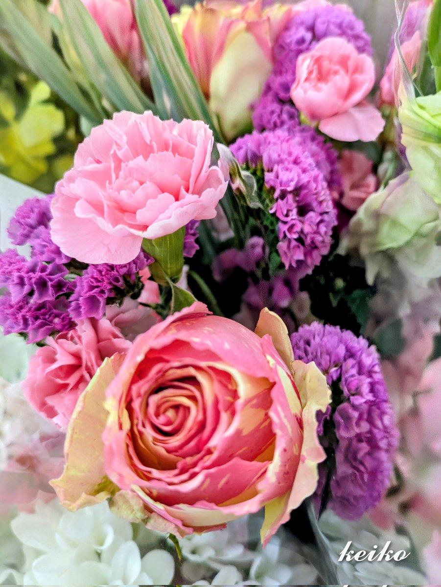 🌈七つの層は
私の内側に有る七つの感受性

色は
目から入り
心を動かし
時に身体にも働きかける

例えば
赤い食べ物は
抗酸化物質の含まれるものが多い
栄養＋心理
緑は
副交感神経が優位になりやすい
森を見ると落ち着くのは
脳の扁桃体が下がる様です

惠子の
感じる科学ノートより～🌿