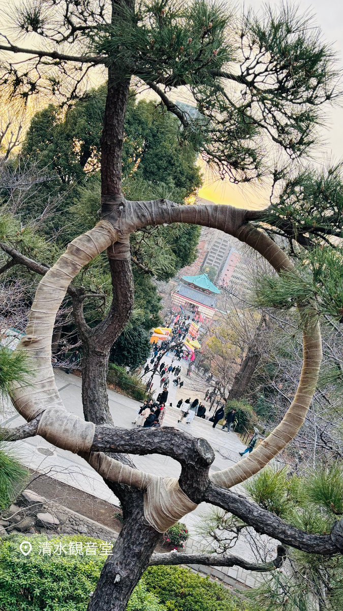 harikenjp's tweet image. 思いつきで、
久々に上野へ🙂‍↕️

久々の休日外出。

偶然の再会（？）もあり、
不意に楽しかった。

出かけるたびに何かが起こる💥
そんな人生は面白い☺️🍀

※ここ何年も忘れていた感覚を
思い出すかのように、人間らしく
歩きましょう...2月まで🚶

—

#OnlyLiveOnce
#玩具人生