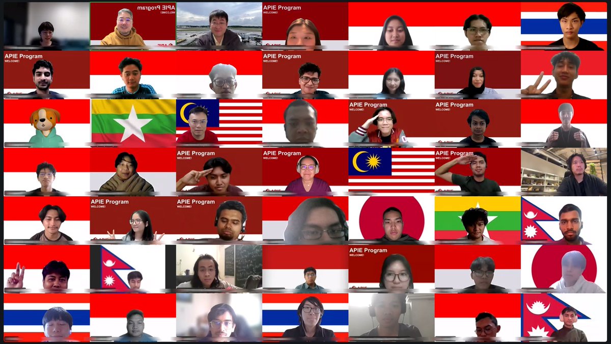 APIE Program tweet media