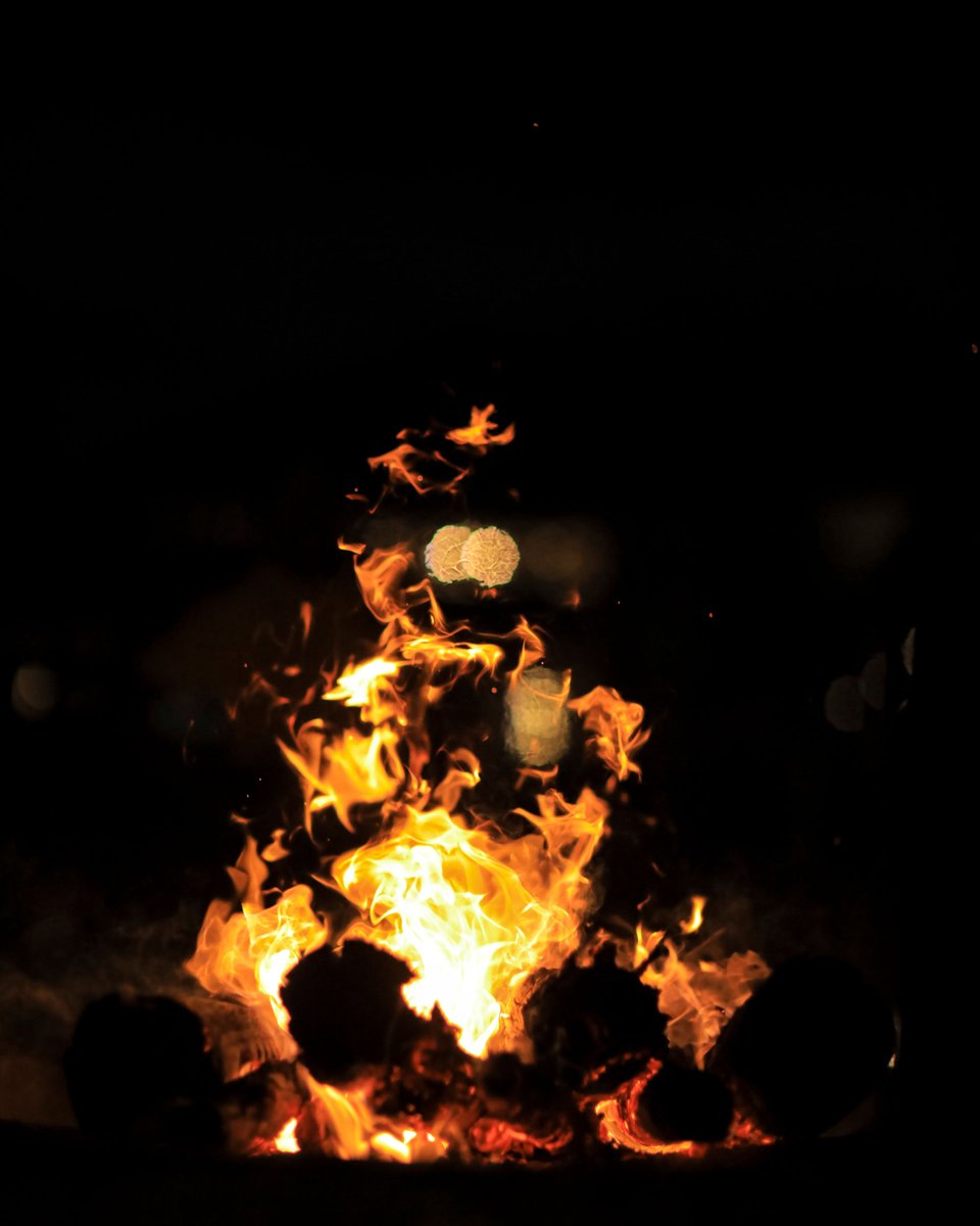 Mantis Akagera Game Lodge tweet media