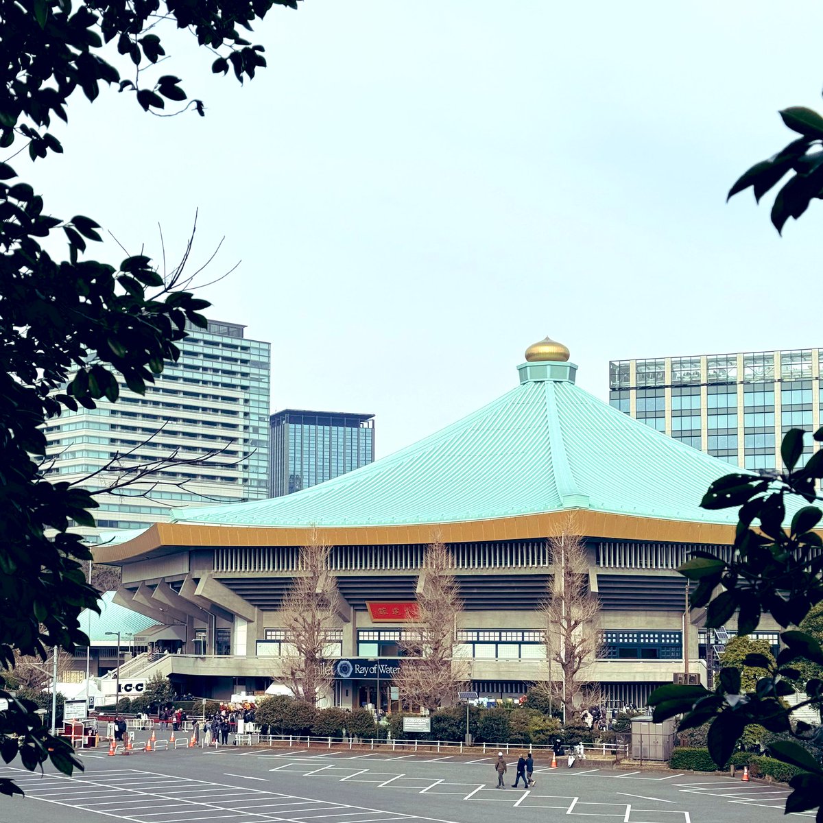 なっしー tweet media