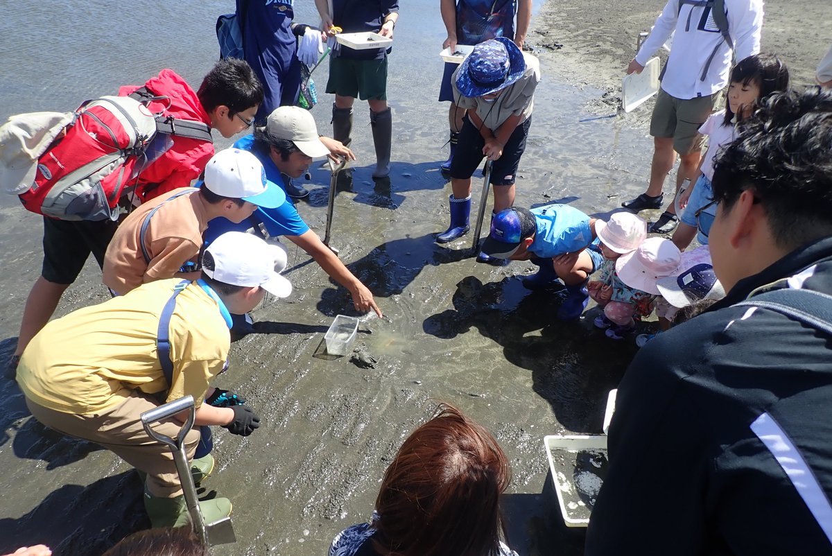 今年も5月9日・10日に #鳥海アートフェス を開催いたします！鳥や海の生きものをテーマにしたアート作品の展示販売、工作や生きもの観察のワークショップ、写真展とイベント盛りだくさん！鳥や海の生きものがもっと好きになる2日間♪ぜひ遊びに来てください🦀　#三番瀬 #イベント
