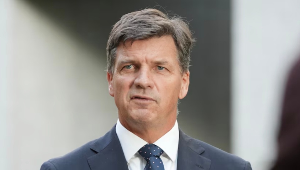 Peter Murphy tweet media