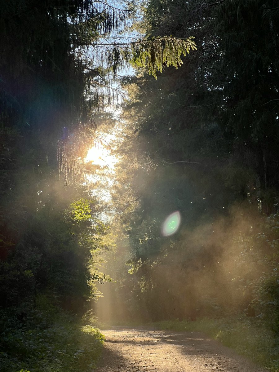 けんさん💛旅する写真家💚ありがとう魔法のカウンセラー🪄✨💫🌟 tweet media