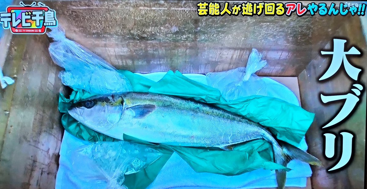 でも猫がチョコレート食べると思わないし魚渡してるアユがある意味1番常識あるのかもしれない