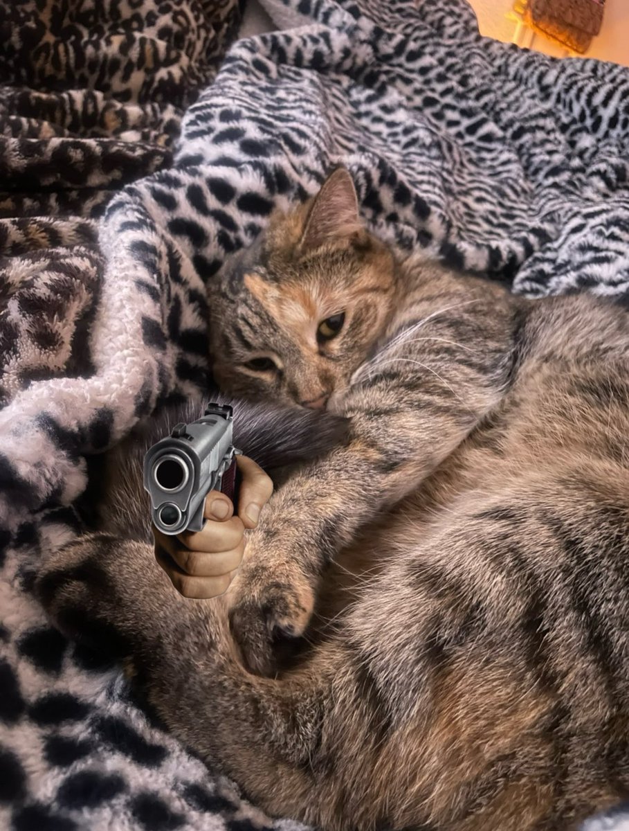 HelloTitty tweet media