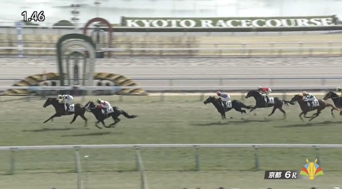 ㊗️ブラックシャリマー
#ブラックシャリマー
#前谷牧場
#マエタニファーム
#キタサンブラック