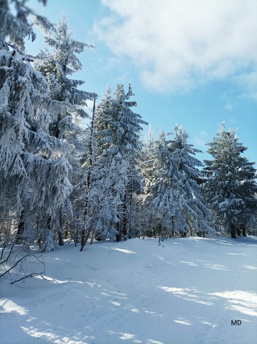 Martina Dvorská (@martinadvorsk2) on Twitter photo 