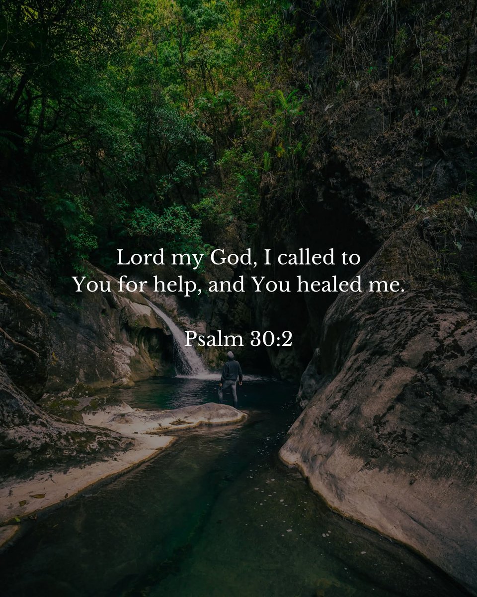 The Bible tweet media