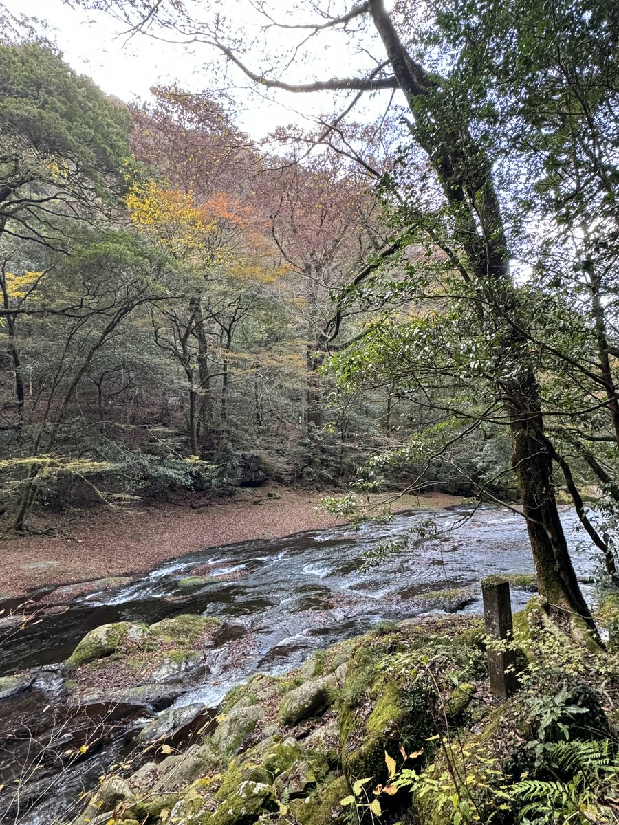 G空間情報センター tweet media