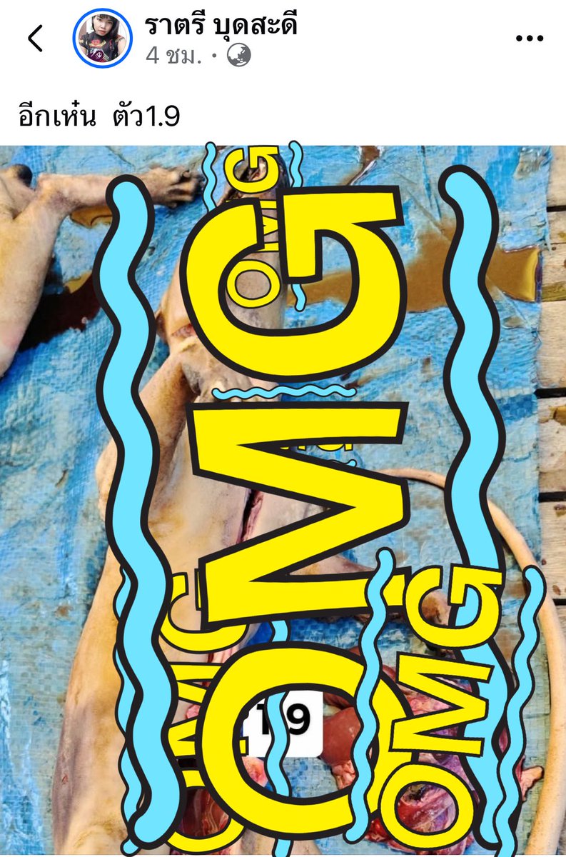 ฉันเล่าแล้วเธอห้ามบอกใครนะ tweet media