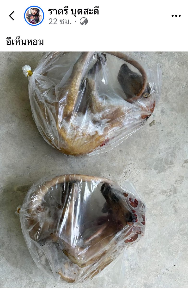 ฉันเล่าแล้วเธอห้ามบอกใครนะ tweet media