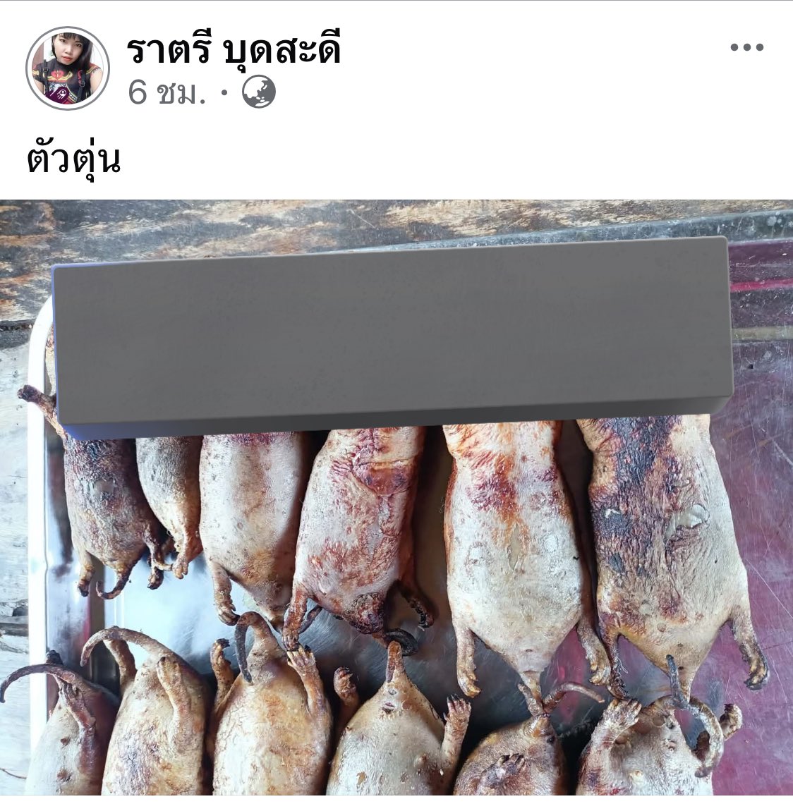 ฉันเล่าแล้วเธอห้ามบอกใครนะ tweet media