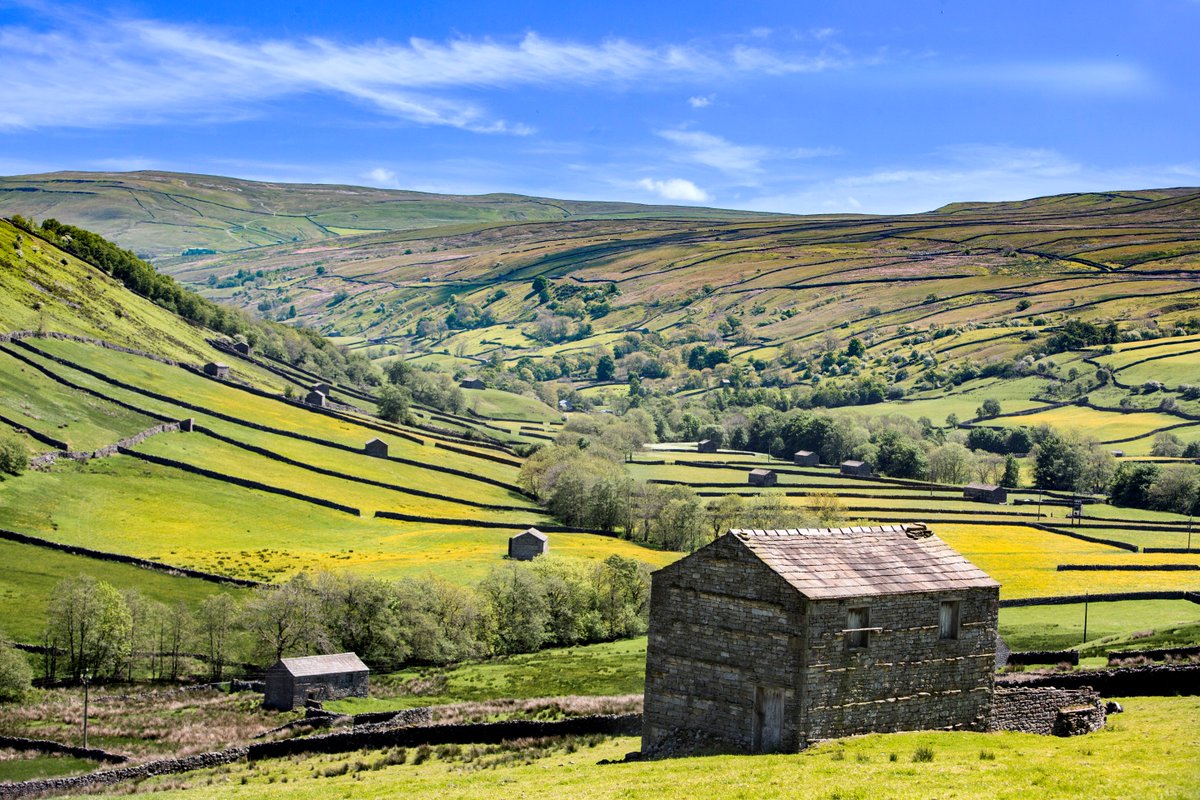 Yorkshire Dales National Park tweet media