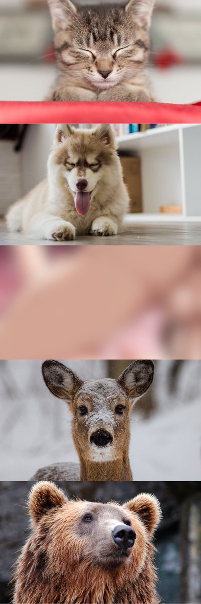 AndrewE78028536's tweet image. (1/8)　SFW