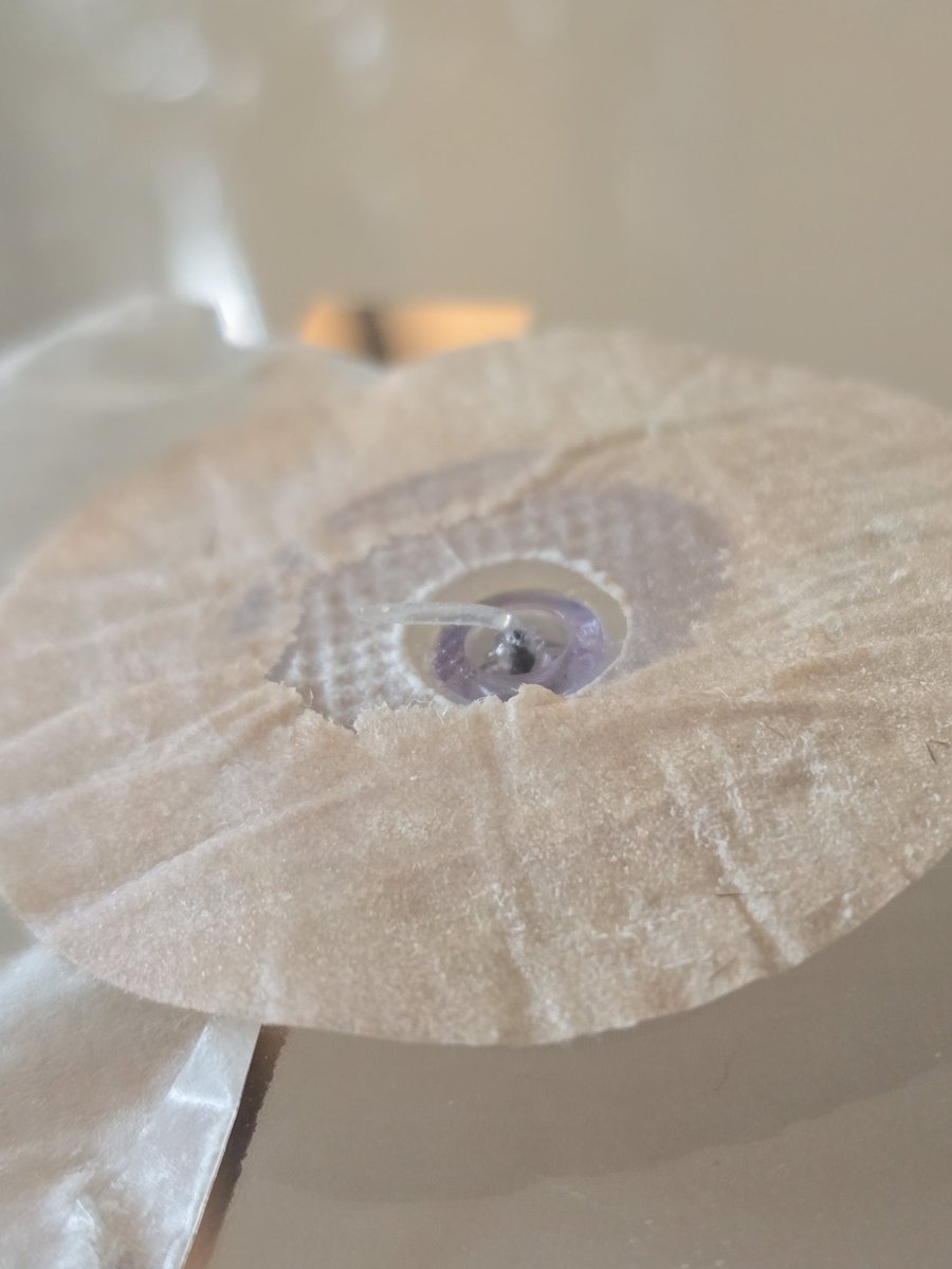 The Practical Diabetic (Leon Tribe) tweet media