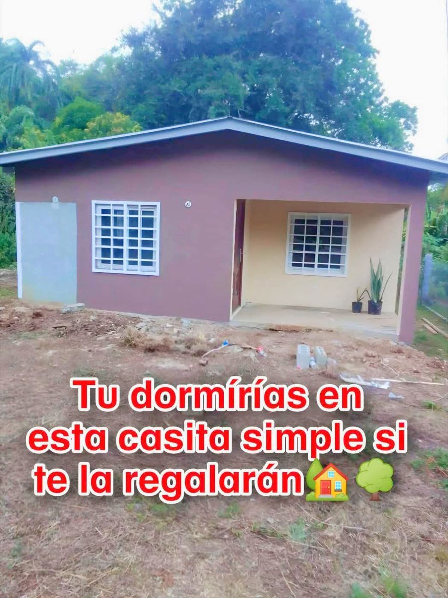 Diego Royet tweet media