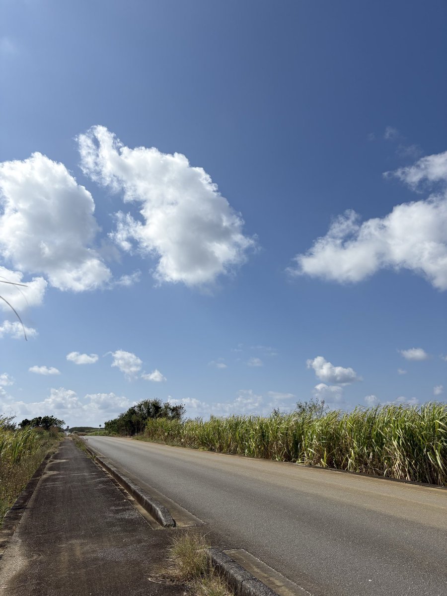08Tmng's tweet photo. 思い切って宮古島まで来て良かった。
29度。常夏です。

それではお聴きください、涙そうそう。 https://t.co/hlW97KnCdH