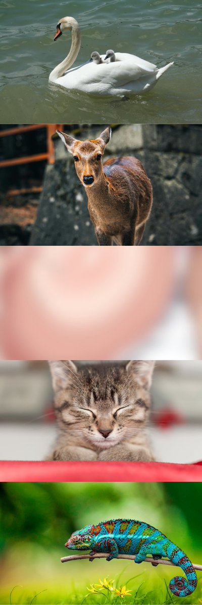 AndrewE78028536's tweet image. (1/8)　SFW