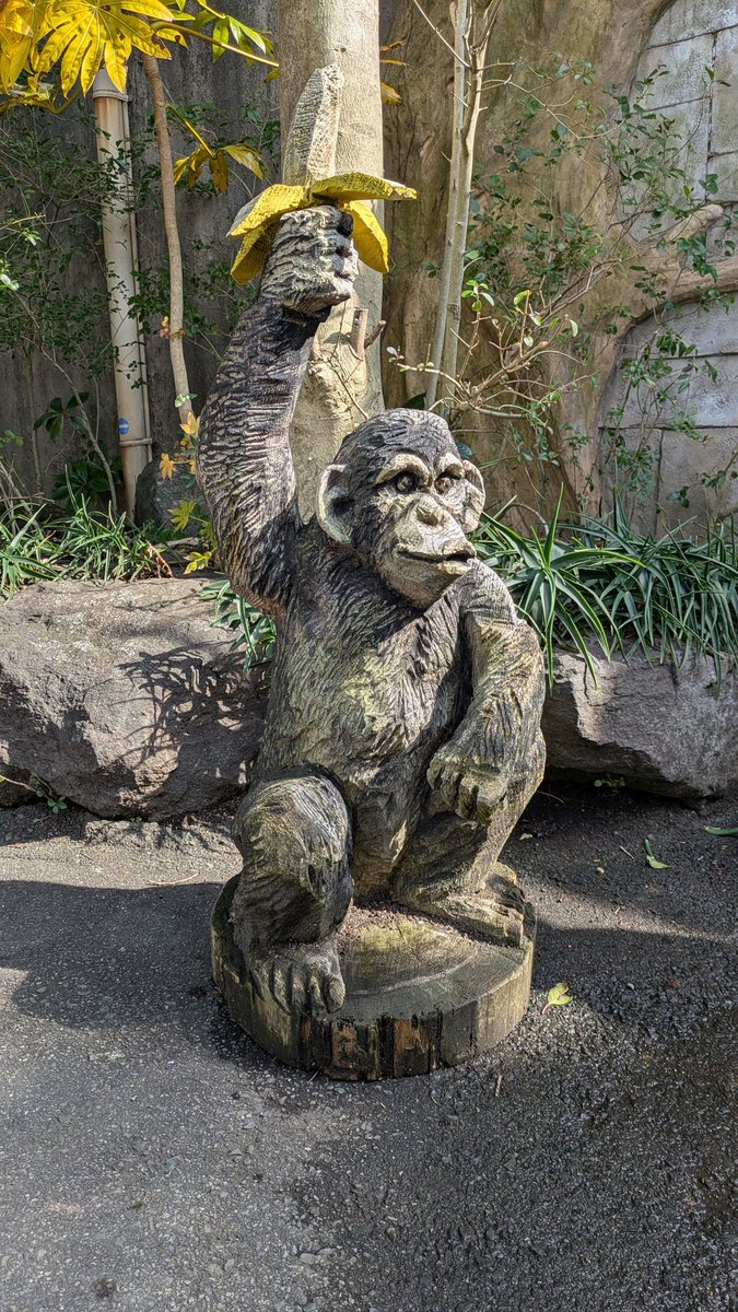 ひでよし tweet media