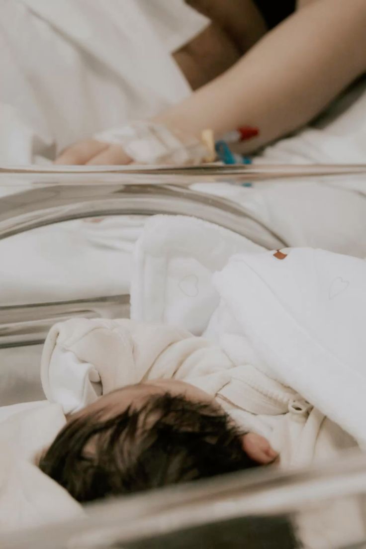 catalina tweet media