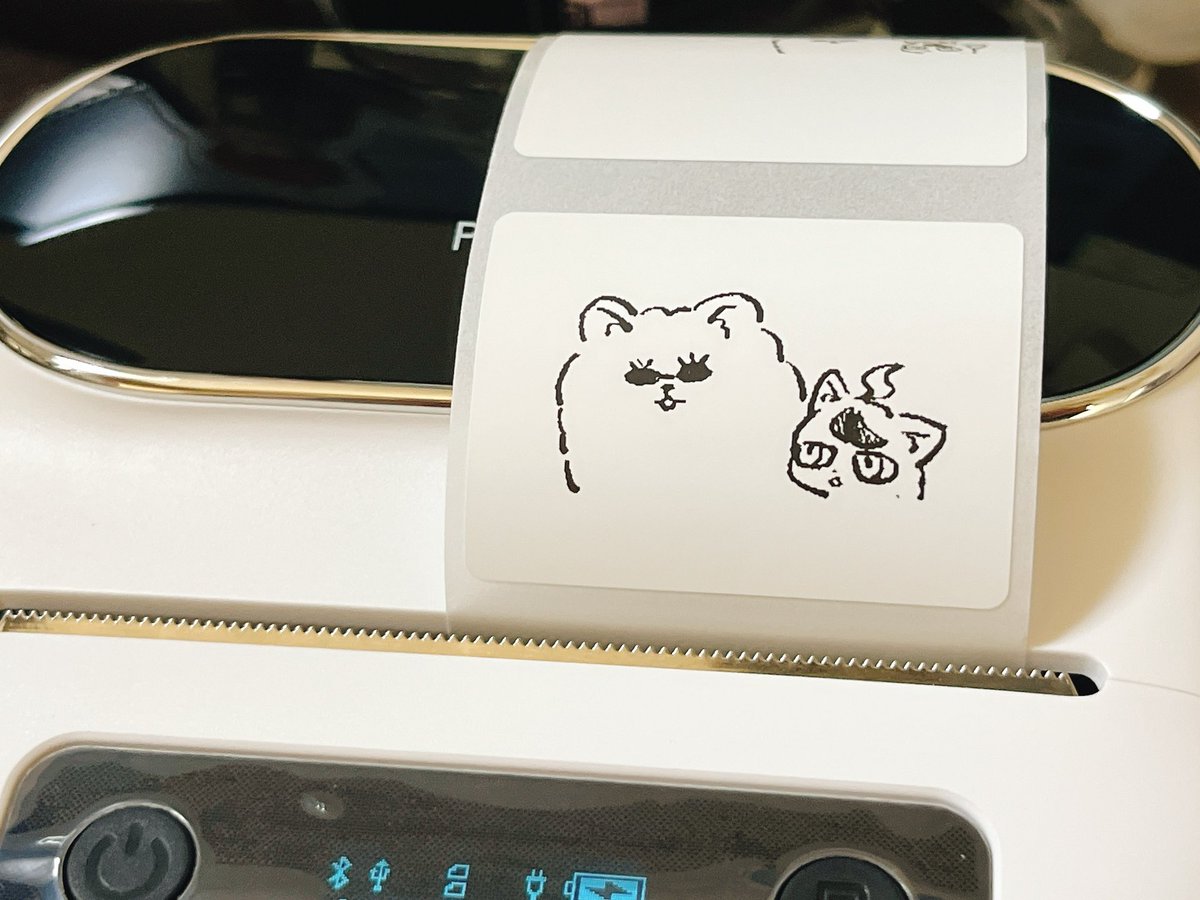 他の用紙も届いたので遊んだよ🐶🐱