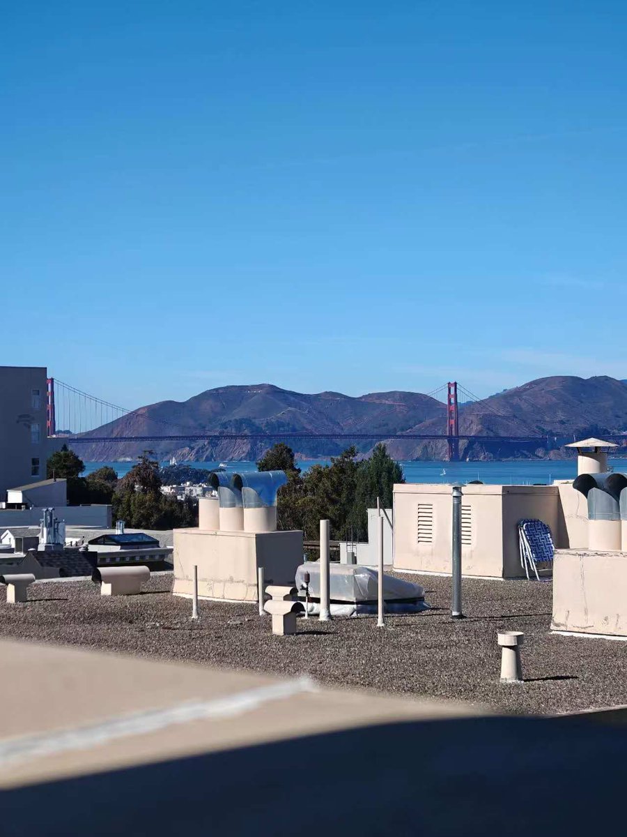 Grace Bear X tweet media