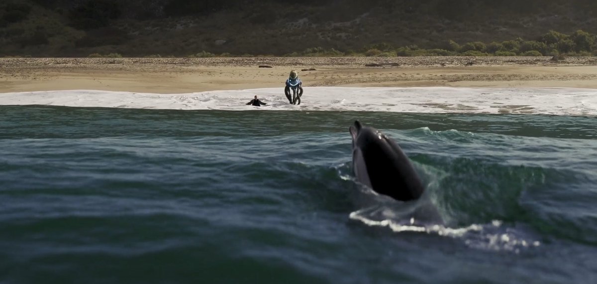 Michael J Garcia tweet media