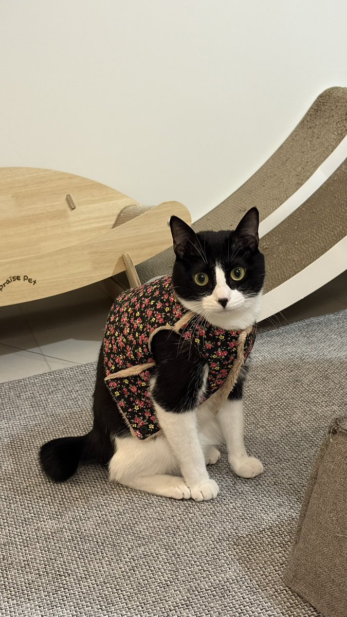 봉구네 김밥이 tweet media