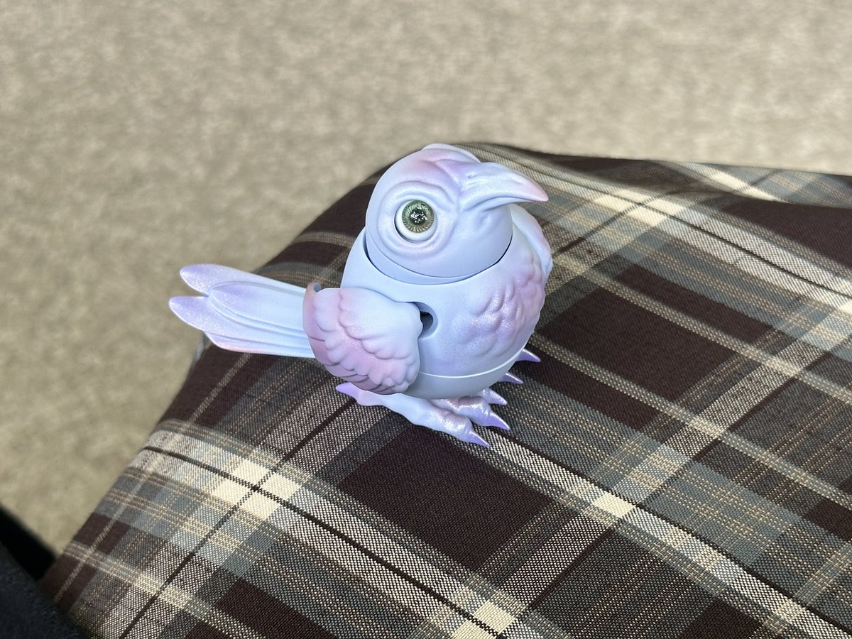 little_chihina's tweet image. #cocoriang #Karr 
昨年からの念願っ子！！！お迎え！！！しまし！！た！！！！！！！✨✌🏻✨