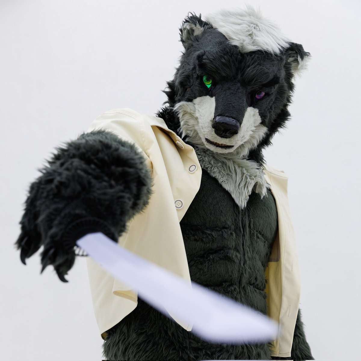 주니🐻Jooni🎗🔜Thaitails🇹🇭,毛毛露營🇹🇼,FURSTCLASS🇰🇷 tweet media