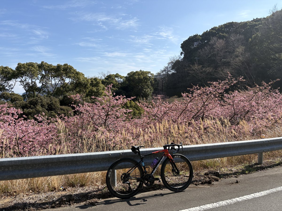 みらくる tweet media