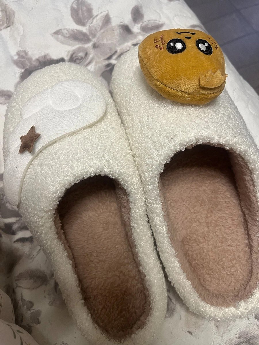 #saipamigay

happy carat day giveaway ♡

2 winners of miniteen slippers of their choice!
          - follow me <a href="/soongyuexe/">sai ♡</a>  
          - rt + like this tweet and the tweet below
          - tag 3 carats!

ends on february 28