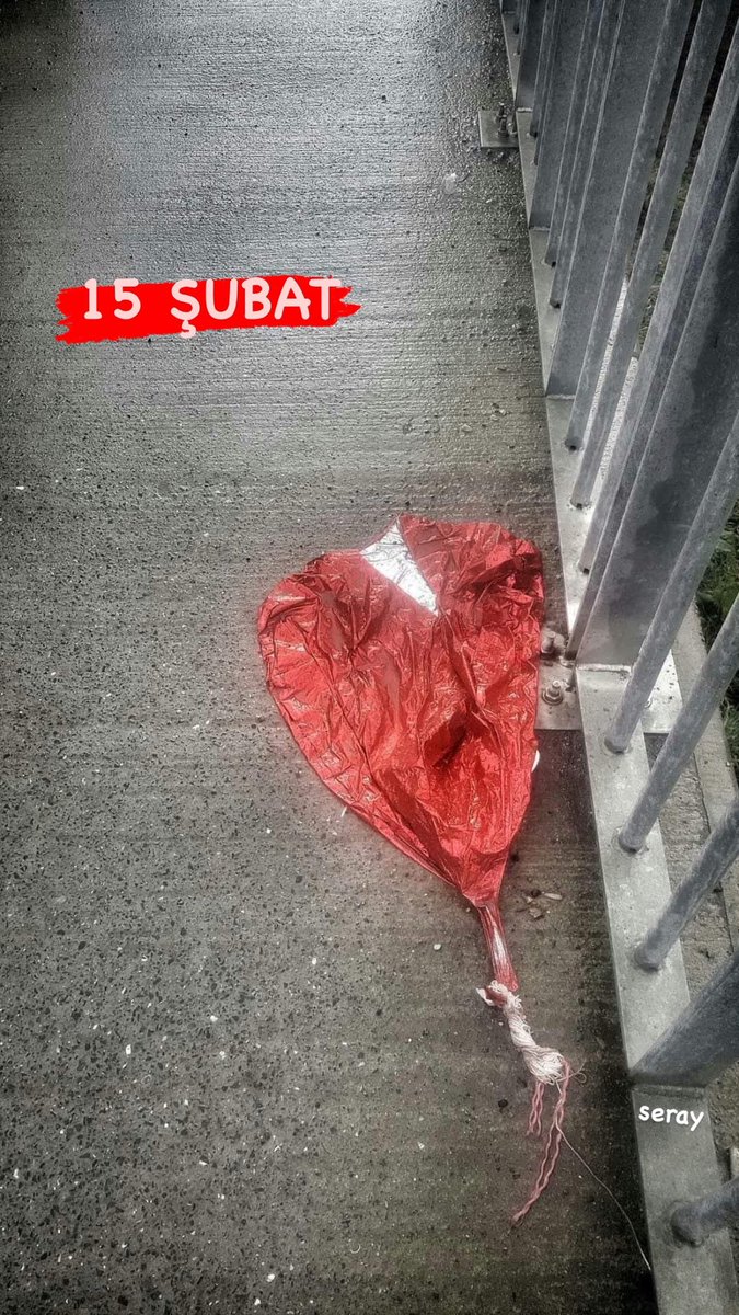 Seray Sarı tweet media